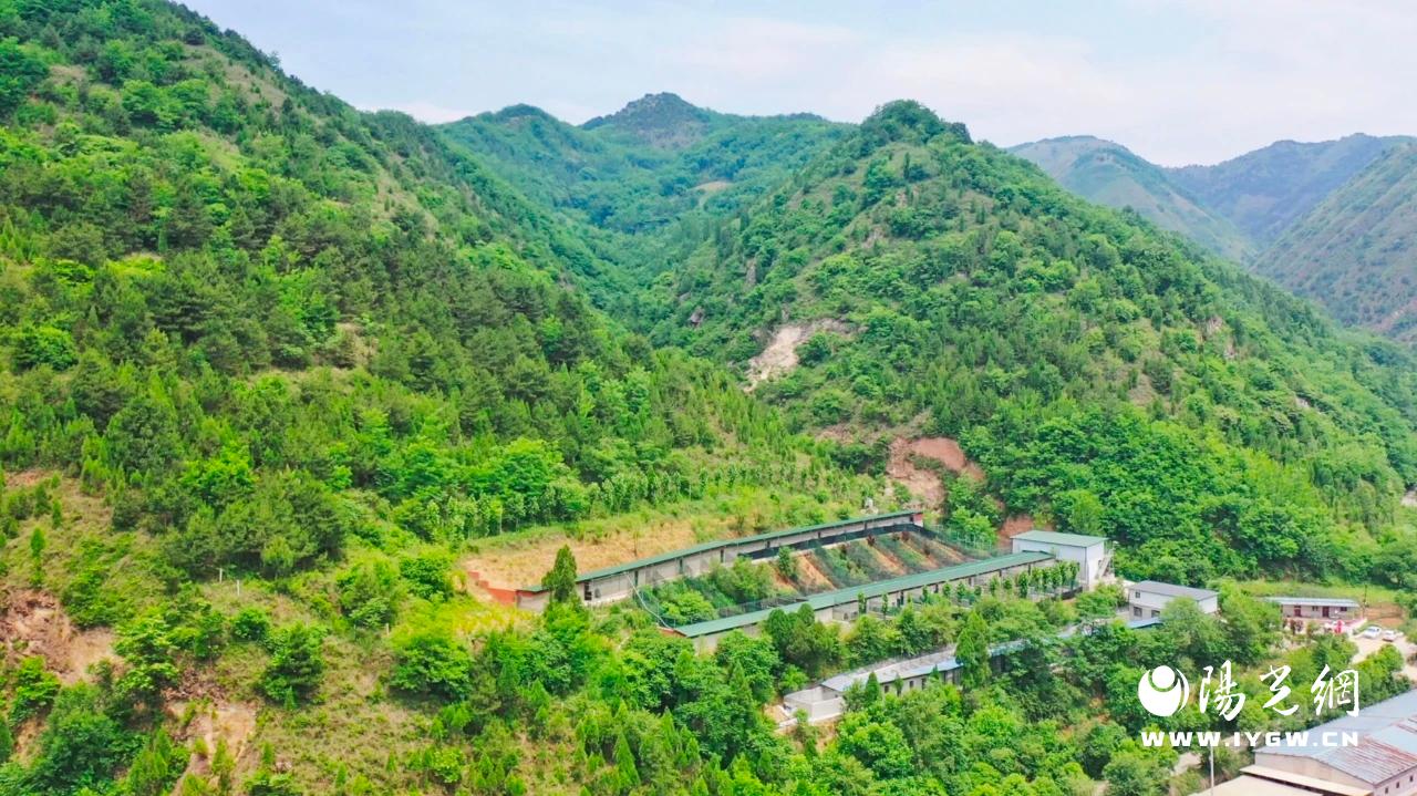 20240524100256586-36-b6577.jpg 20240524100256586-36-b6577.jpg