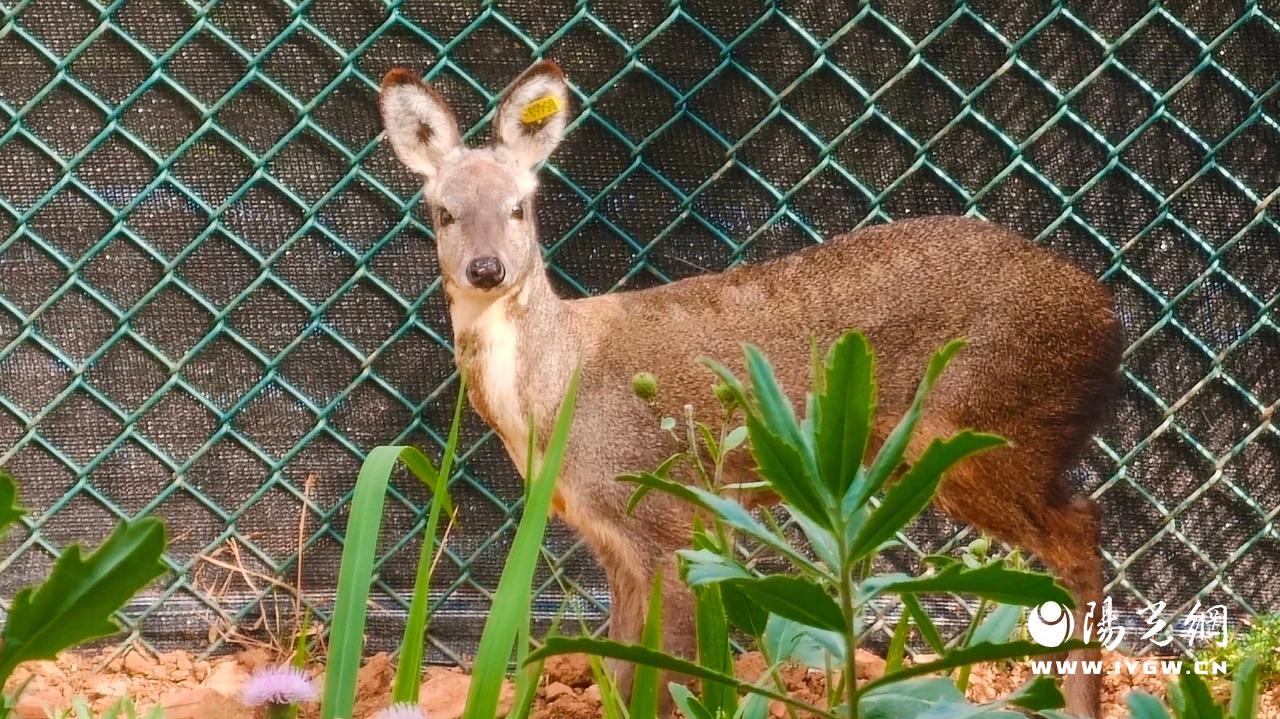 20240524100256990-83-2d7a9.jpg 20240524100256990-83-2d7a9.jpg