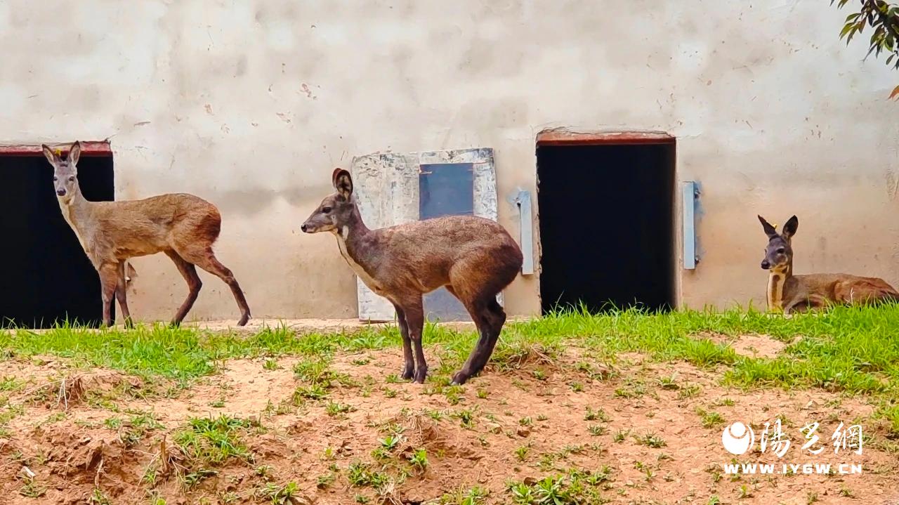 20240524100257915-7-52b16.jpg 20240524100257915-7-52b16.jpg